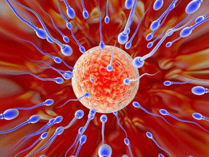عوامل موثر بر سلامت اسپرم‌ها Factors affecting sperm health